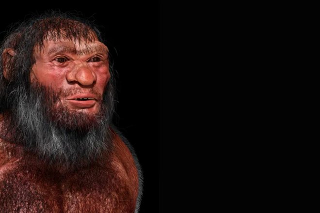 денисовец Homo longi