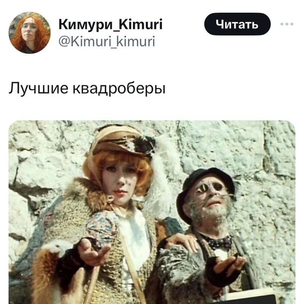 Мемы квадроберы