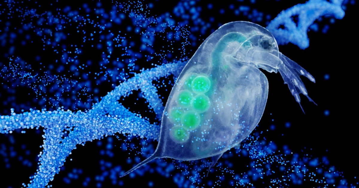 Исследование зоопланктона бросило вызов традиционным взглядам на эволюцию
