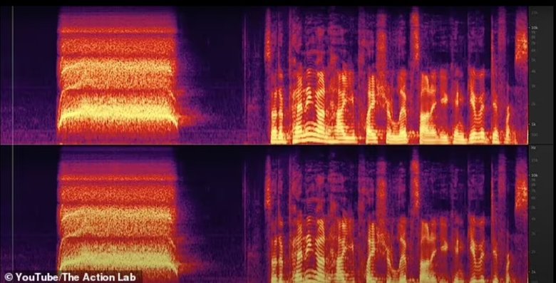 Спектрограмма звуковых волн ацтекского свистка смерти. Фото: The Action Lab