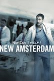 Постер Новый Амстердам: 1 сезон