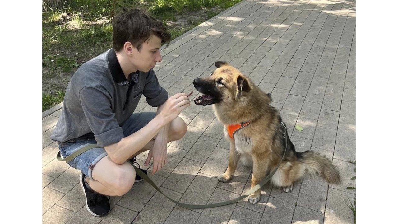 Приютский пес на прогулке с волонтером