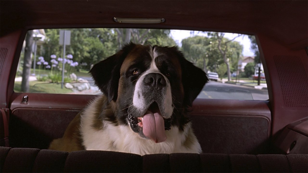 Собака бетховен из фильма фото