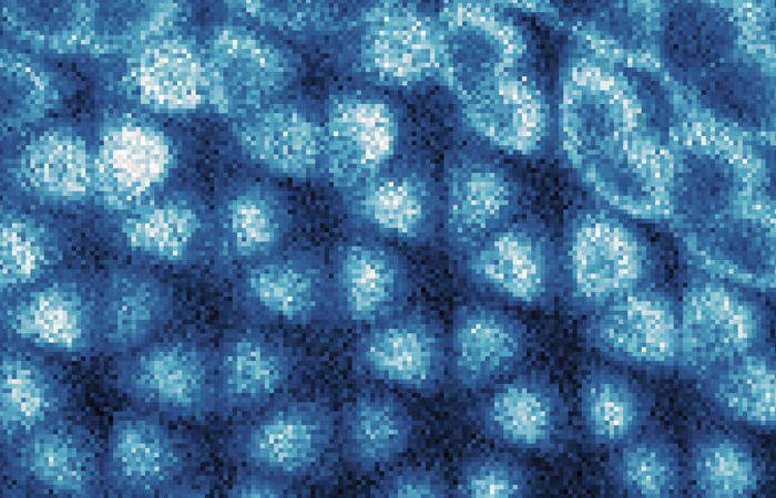 Это изображение листа графена, полученное с помощью особого микроскопа, показывает, что кристалл Вигнера — структура электронов, имеющая кристаллическую форму — сформировался внутри слоистой структуры под ним. Фото: Nature