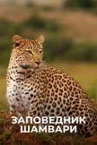 Постер undefined: 1 сезон