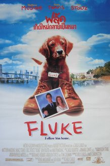 Флюк: постер