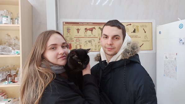 Кот лежал на обочине дороги и уже не шевелился — его спасли с того света