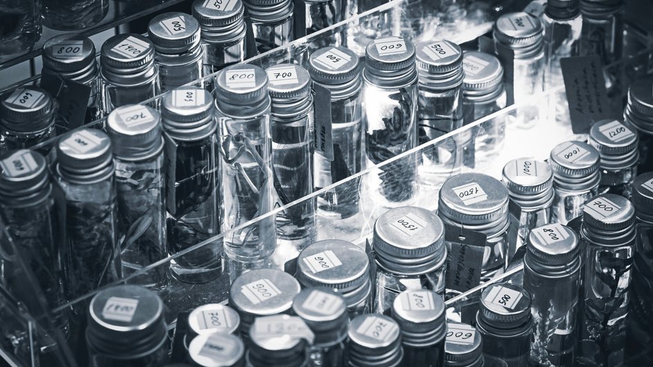 Суть открытия заключается в принципиально новом подходе к модификации ароматических соединений — важнейших строительных блоков современной фармацевтики. Суть открытия заключается в принципиально новом подходе к модификации ароматических соединений — важнейших строительных блоков современной фармацевтики.