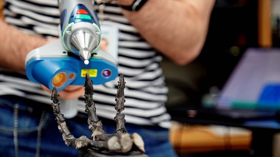 Были сделаны 3D-сканы Enigmacursor mollyborthwickae Были сделаны 3D-сканы Enigmacursor mollyborthwickae