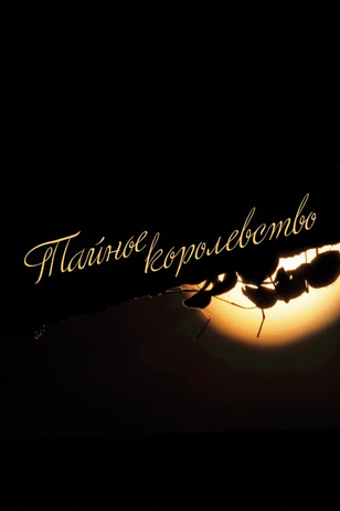 Постер к шоу «Тайное королевство»