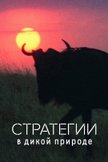 Постер undefined: 1 сезон