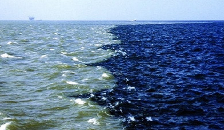 Мертвая зона океана вблизи африканского побережья. Там самые низкие уровни кислорода, когда-либо зафиксированные (inhabitat.com)
