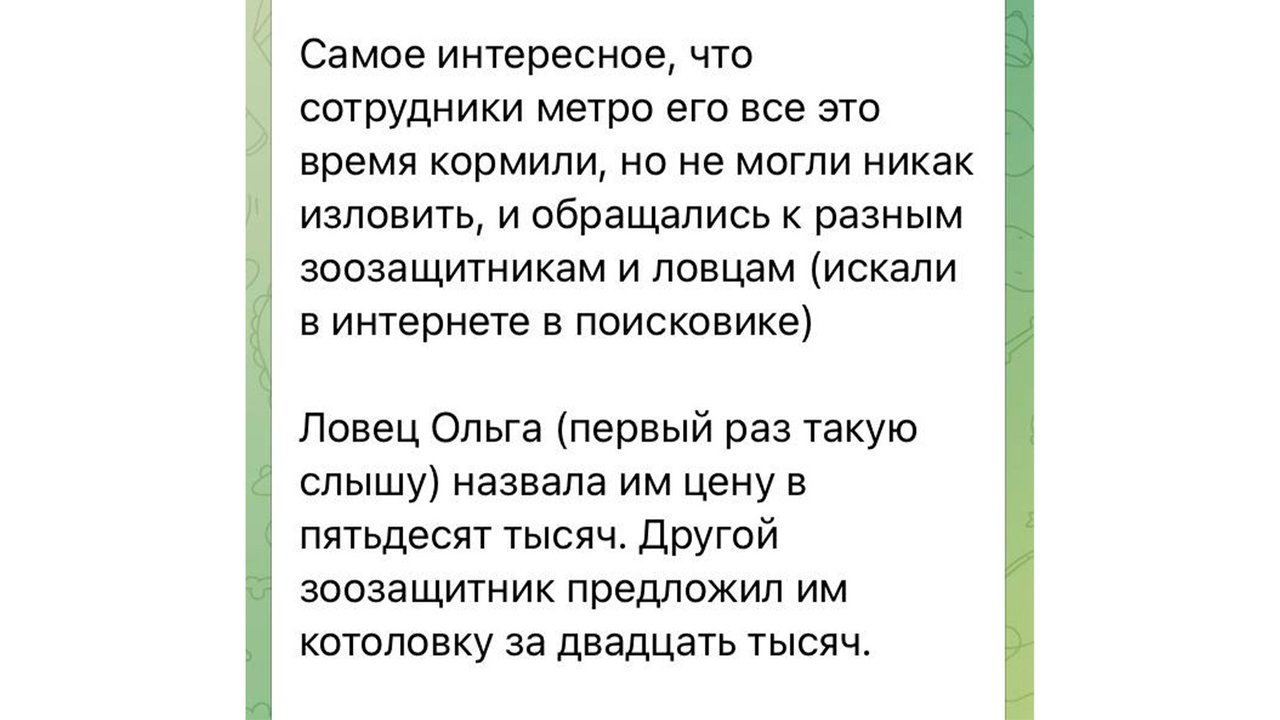 Станция кунцевская Станция кунцевская