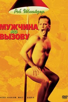 Мужчина по вызову: постер