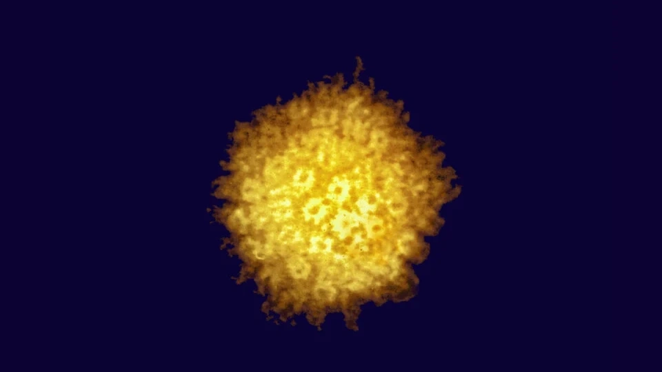 микрофотография вируса