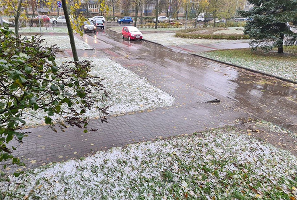 Погода Нижний Новгород, прогноз погоды месяц | Нижегородская область | qwkrtezzz.ru
