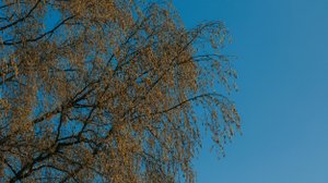 Unsplash.com/CC0