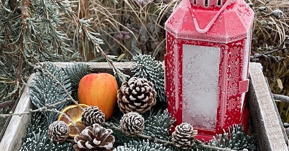 11 уютных идей декора для вашего сада зимой