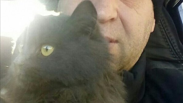 В Челябинской области кошка сама отправилась на вокзал