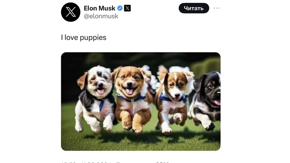Пост Илона Маска. Перевод комментария: «Я люблю щеночков»