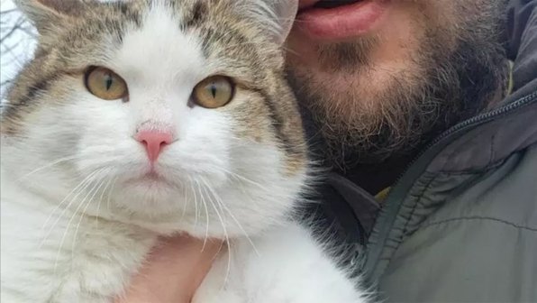 Кот, спасенный из трубы, обрел новый дом