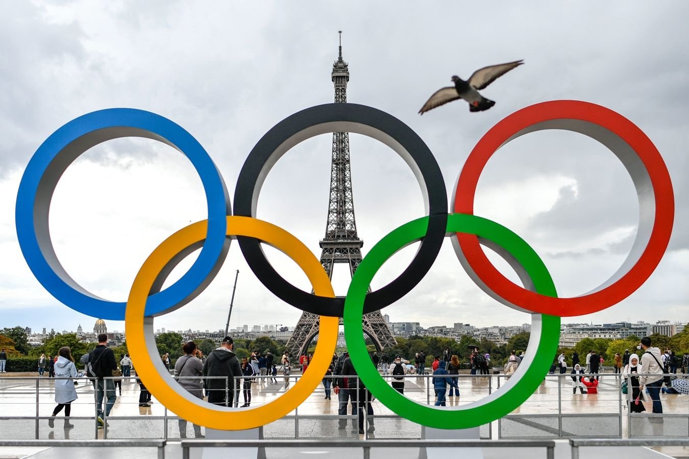 Почти 880 тыс. человек посетили баскетбольные матчи на Олимпийских играх в Париже