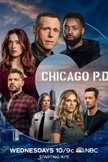 Постер Полиция Чикаго: 8 сезон