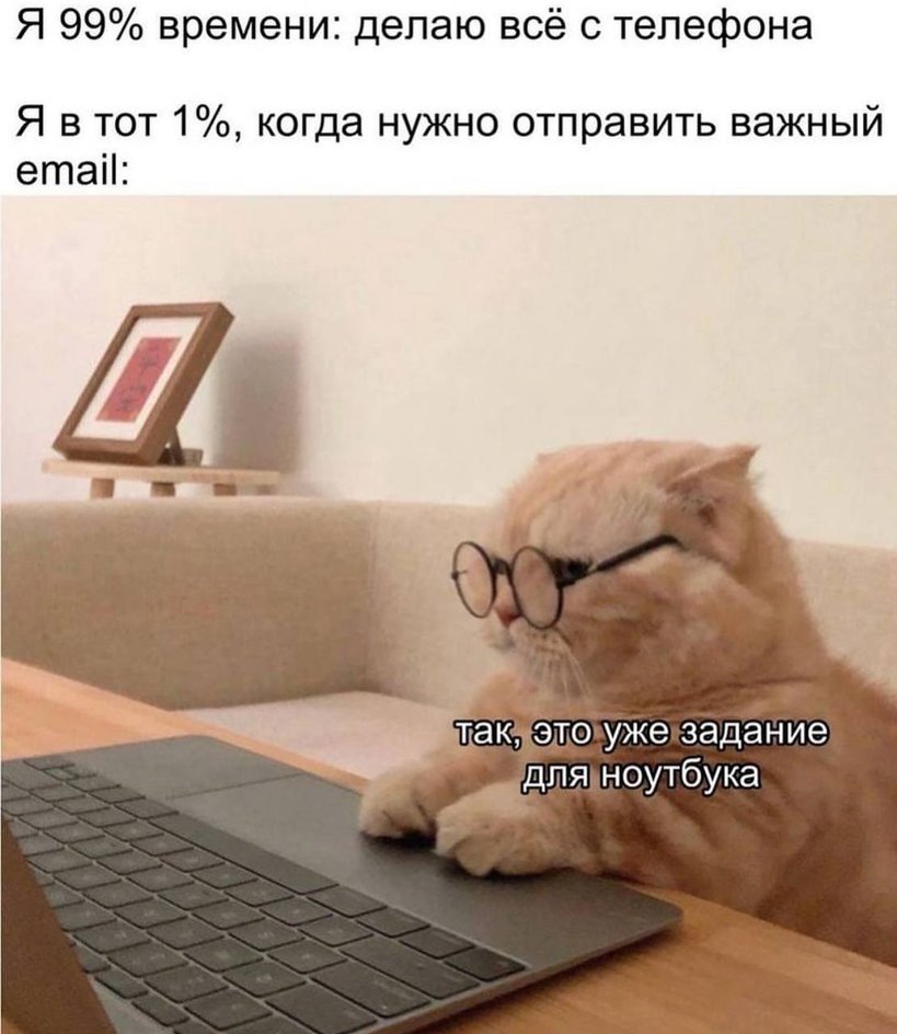 Мемы с котиками