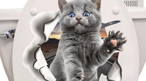 15 находок для самых грязных зон в квартире
