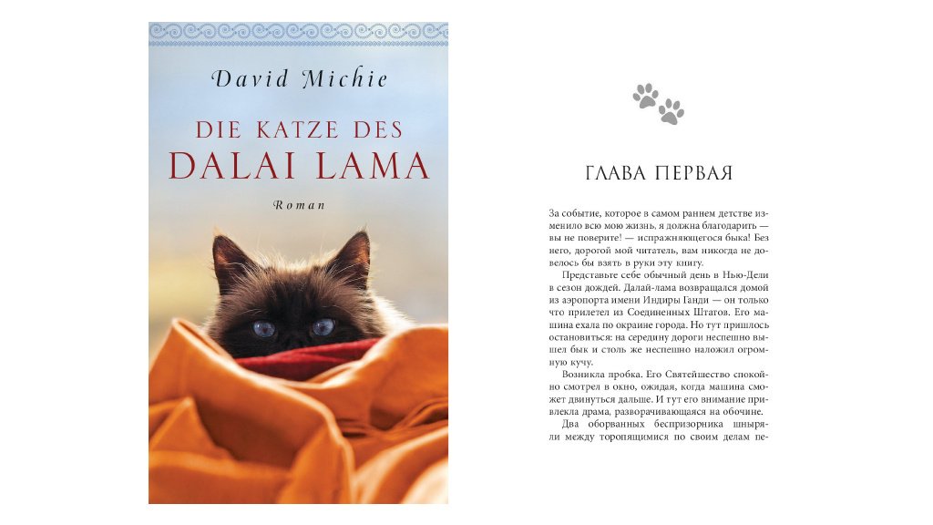 David_Michies_cat_the_Dalai_Lama