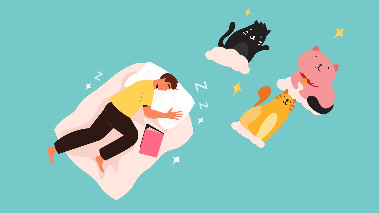 К чему снятся кошки: как растолковать сон