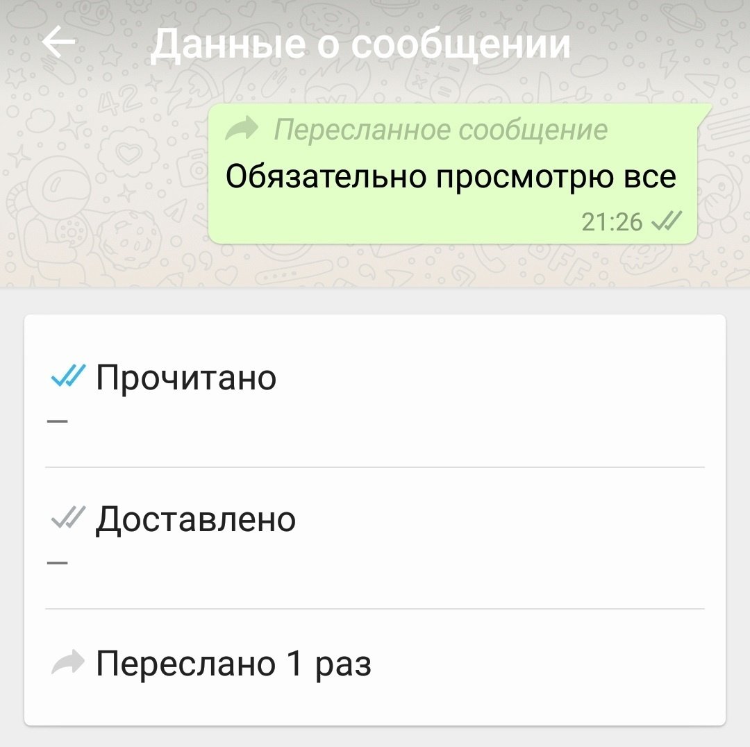 Как узнать, кто пересылает ваши сообщения в WhatsApp - Hi-Tech Mail.ru