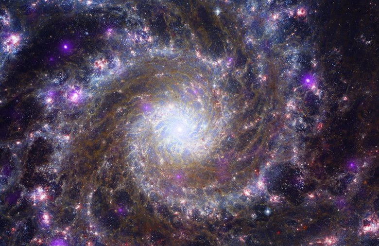 Cпиральная галактика Мессье 74. Фото: NASA