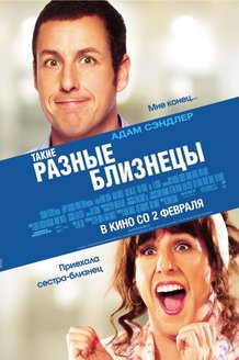 Такие разные близнецы: постер