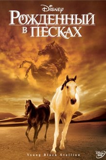 Рожденный в песках: постер