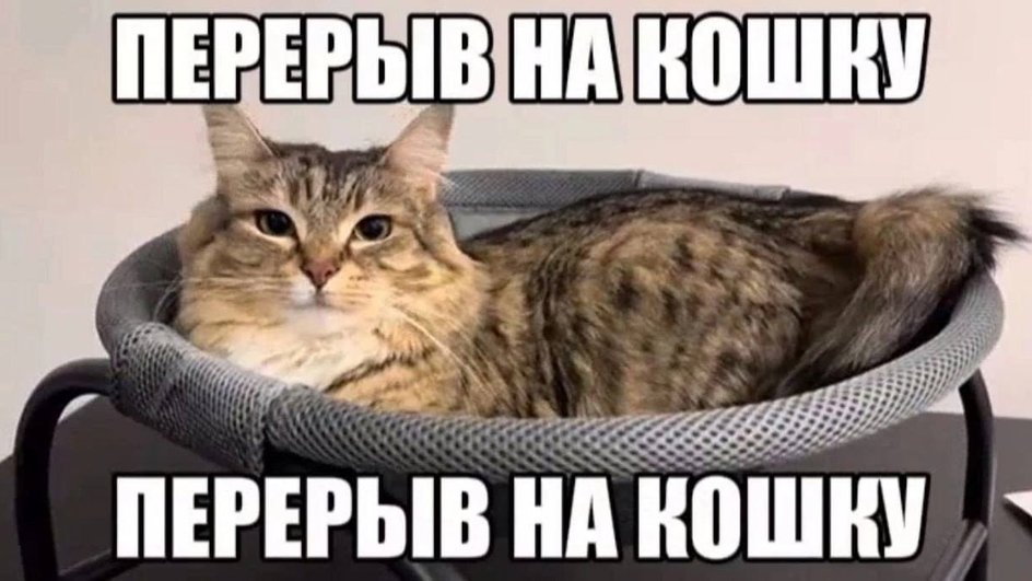 С удовольствием С удовольствием