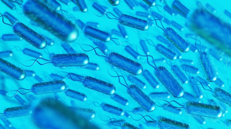 Изображение Escherichia coli, в которую ради эксперимента внедрили фермент Pap1 Изображение Escherichia coli, в которую ради эксперимента внедрили фермент Pap1
