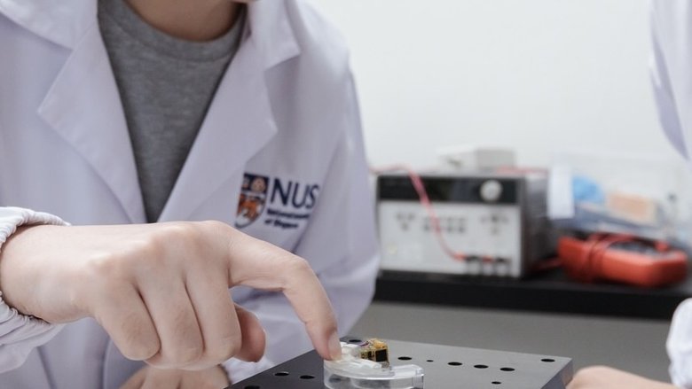 Инженеры тестируют датчик сжатия. Фото: news.nus.edu