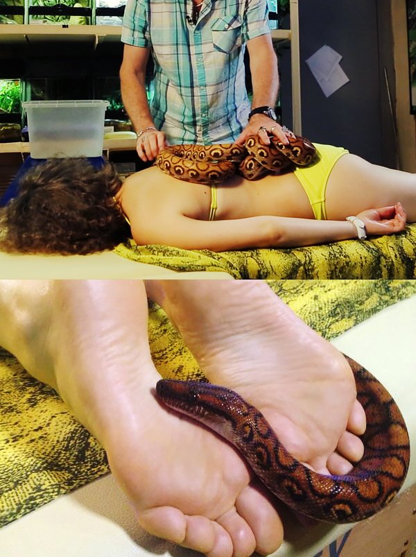 Чем дольше длится массаж, тем больше ты расслабляешься и доверяешь змеям