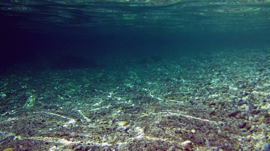 Морское дно Морское дно