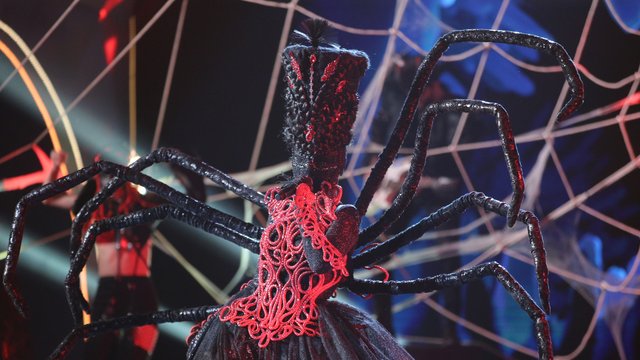 Выступление участника шоу «Маска» Выступление участника шоу «Маска»