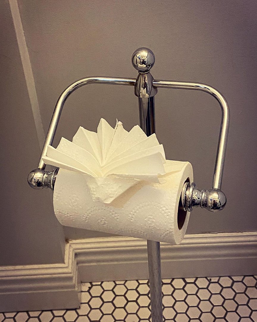 Поделки из туалетной бумаги и рулонов: делаем вместе. ТОП - 30 идей с фото