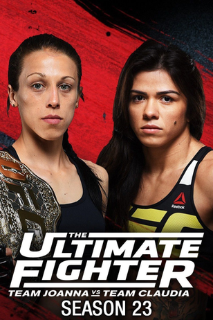 Постер реалити-шоу «The Ultimate Fighter» (23 сезон)