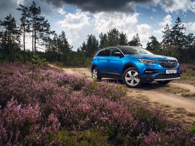 slide image for gallery: 26504 | Opel Grandland X статика