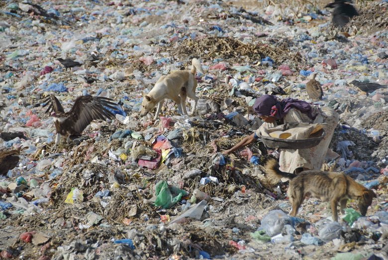 Даже сейчас многие жители нашей планеты живут в тяжелейших условиях. Что будет после катастрофы? Пожилая женщина копается в мусоре на свалке Харар, Эфиопия. Фото: Depositphotos