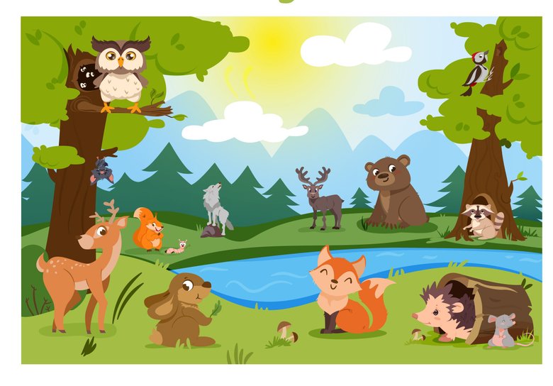 forest forest