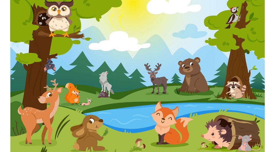 forest forest