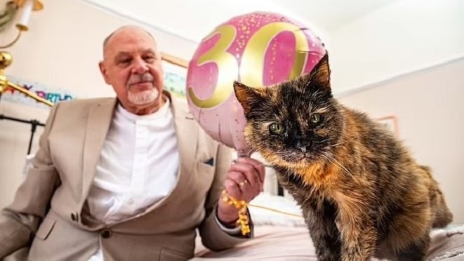 Кошка-долгожительница Милли недавно отметила 30-й день рождения Кошка-долгожительница Милли недавно отметила 30-й день рождения