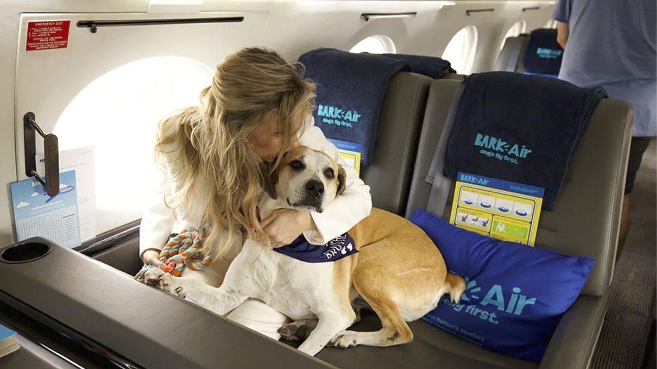 Авиакомпания премиум-класса для собак открылась в США