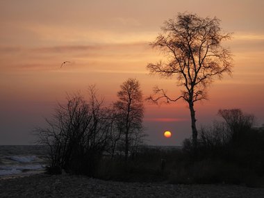 slide image for gallery: 27648 | Байкальский заповедник